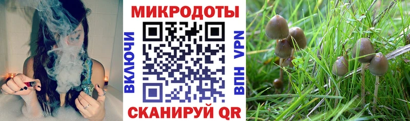Галлюциногенные грибы MAGIC MUSHROOMS  сколько стоит  Зеленогорск 
