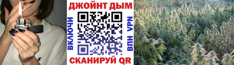 Канабис планчик  как найти наркотики  блэк спрут онион  Зеленогорск 